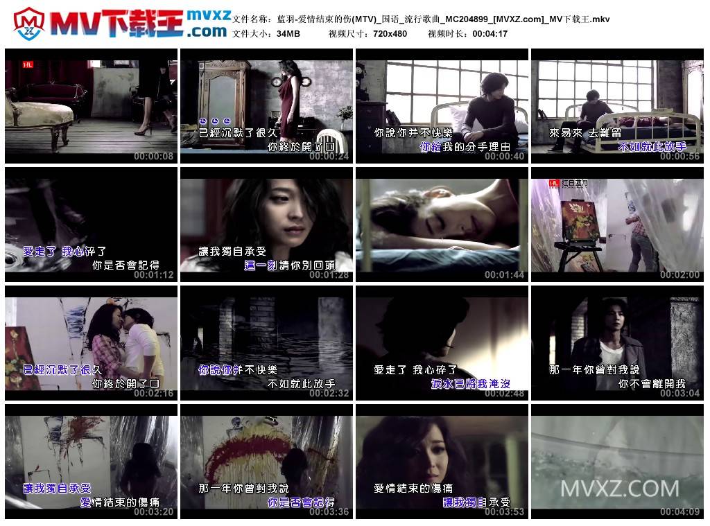 蓝羽-爱情结束的伤(MTV)_国语_流行歌曲_MC204899